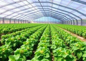 Author Corrects Study on Ecological Intercropping Benefits