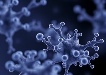 Bacterial Schlafen Proteins Protect Against Phages