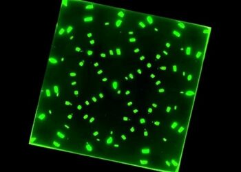 Biodegradable Chitosan-Cellulose Nanocrystal Piezoelectric Film