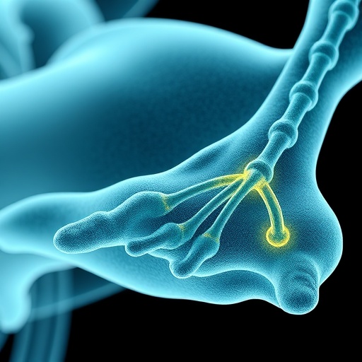 Bioprinting Muscle with Perfect Cell Alignment, Mirroring Human Tissue