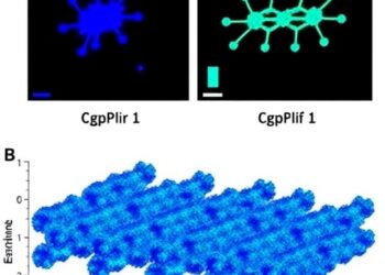 Blue-Emitting CsPb(Br-Cl)3 Nanocrystals Enhanced by Dopamine