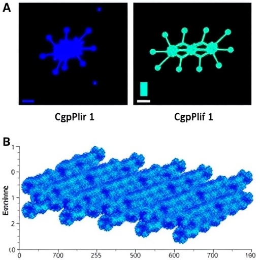 Blue-Emitting CsPb(Br-Cl)3 Nanocrystals Enhanced by Dopamine