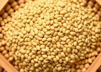 Boosting Cereal Protein: Nutrition, Yield, Sustainability