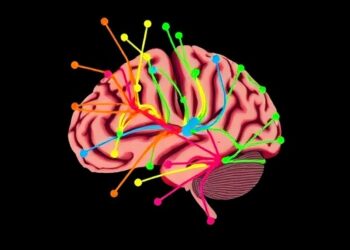 Brain Network Changes Observed in Newborns with Congenital Heart Disease