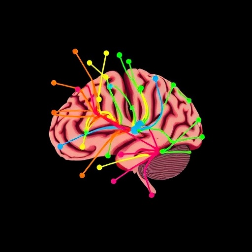 Brain Network Changes Observed in Newborns with Congenital Heart Disease