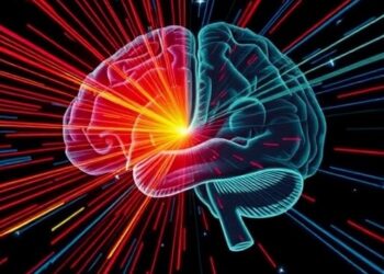 Chasing Movement or Light: How the Brain Processes Multiple Visual Signals