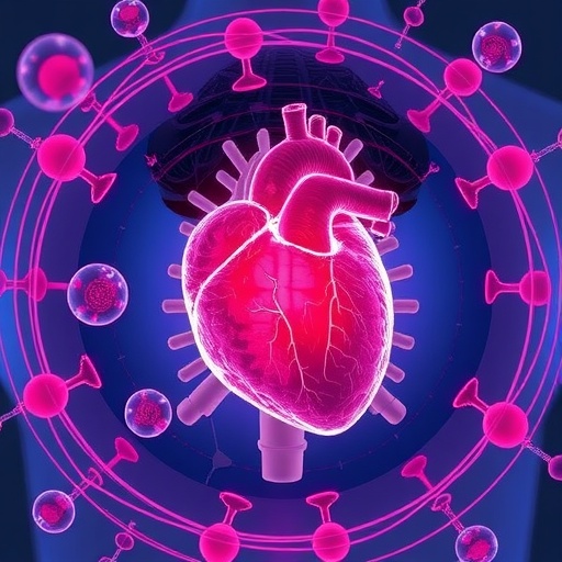 CityUHK Researchers Decode “Asian Flush” Mechanism, Opening New Pathways for Precision Heart Attack Treatments