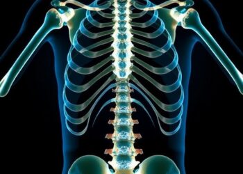 Decoding Bone Age in Premature Adrenarche Challenges