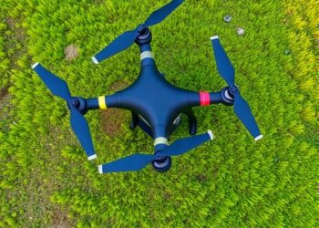 Drone Imaging Unveils Fresh Insights into the Impact of Grazing on Grassland Ecosystems