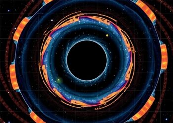 Elliptical Orbits Shed New Light on Black Hole-Neutron Star Mergers