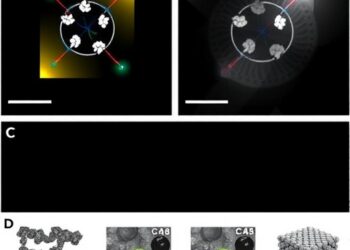 Enhanced CO2 Photo-Reduction Achieved with Synergistic Pd Sites in Ordered Macroporous In2O3