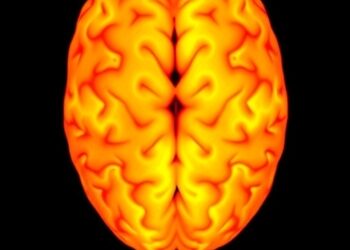 Enhancing EEG Analysis: A New Domain Generalization Approach Using Domain-Invariant Features and Data Augmentation
