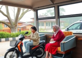 Enhancing Rural Elderly Transport: Zhenglu Town Case