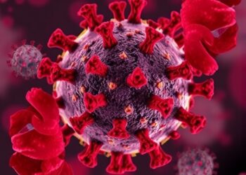 Epitope-Targeted Antibodies Neutralize Omicron Variants