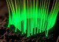 Fiber-Optic Sensors Uncover the Impact of Farming on Soil’s Natural Structure