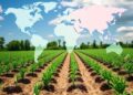 Global Assessment: Regenerative Farming Boosts Crop Yields