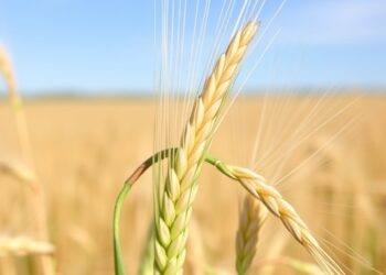 Grass Inflorescence Dynamics Boost Wheat Yield Insights