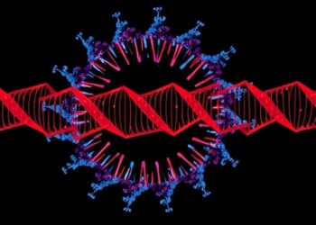 HIV-1 Circular RNA Boosts Viral Transcription via Tat