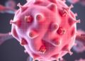 HKUMed Shows ‘Stealth’ Human Stem Cells Enable Safe, Off-the-Shelf Transplants Without Immune Rejection