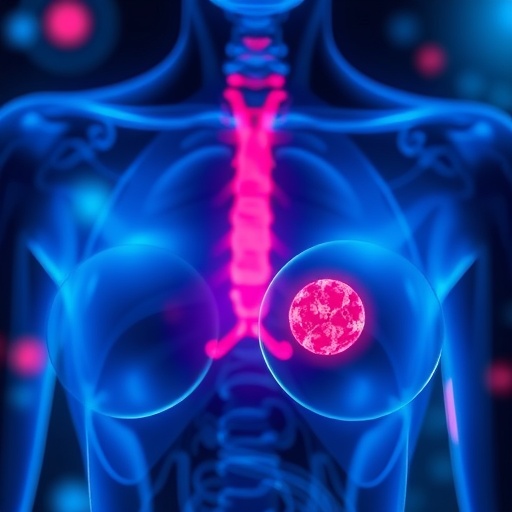 How Estrogen Shields Women from High Blood Pressure: A Scientific Insight