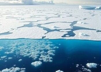 How “Marine Snow” Functions as a Carbon Sink: Unraveling the Ocean’s Role in Climate Control