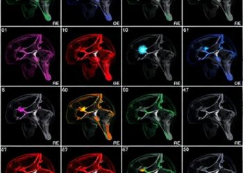 Hybrid Attention-CNN Boosts Medical Image Segmentation