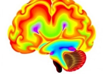 Hypoxanthine: Early Biomarker in Neonatal Brain Injury