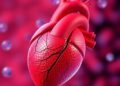 Innovative RNA Therapy Shows Promise in Heart Self-Repair