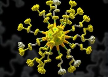 LRP8 Identified as Yellow Fever Virus Receptor