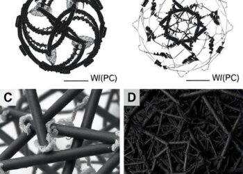 Mechanochemical Modification of Biochar Yields Durable Water-Repellent Coatings and Efficient Oil Adsorbents