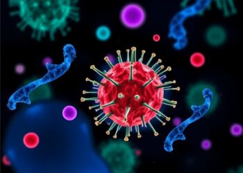 Microbial Consortium Boosts Anti-PD-1 Immunotherapy in Mice