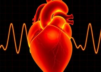 Modeling Heart Rate to Quantify Neonatal Opioid Withdrawal