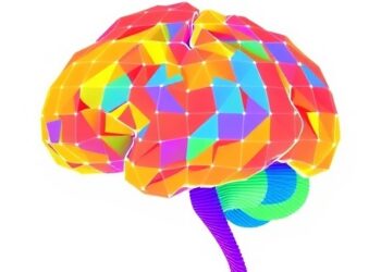 Neural Basis of Ideology and Social Influence Mapped