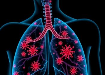 New Research Uncovers How the Spleen-to-Lung Neutrophil Pathway Drives Antiviral Defense