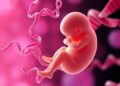 Prenatal Chemicals and Genes Impact Fetal Growth