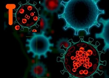 Pro-inflammatory Macrophages Enhance Melanoma Cell Aggressiveness Through Extracellular Vesicles