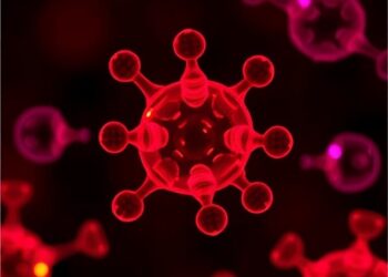 Rapid, Label-Free Optical Analysis of Single Nanovesicles