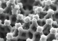 Rapid Transition-State Discovery in Zeolite Nanopores