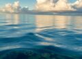 Reducing Air Pollution Could Unexpectedly Transform Ocean Fertility and Climate Feedbacks