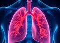 Reducing PEDF Boosts Lung Regrowth After Surgery