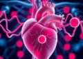 Rivaroxaban’s Role in Heart Disease: Real-World Study
