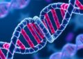 Scientists Pioneer Safe Method for Inserting Gene-Sized DNA into Genomes