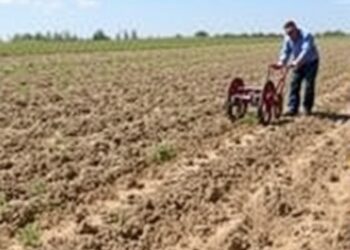 Scientists Uncover How Excessive Plowing Weakens Soil at Experimental Farm