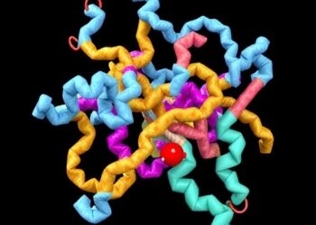 Scientists Uncover How a Tryptophan-Rich Allosteric Network Activates a Key Drug Target Using NMR and Computational Modeling