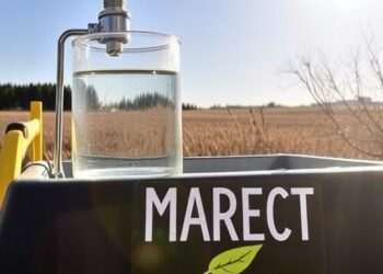 Sunlight-Powered “Schottky” Catalyst Rapidly Eliminates Fulvic Acid, a Persistent Drinking Water Pollutant Precursor