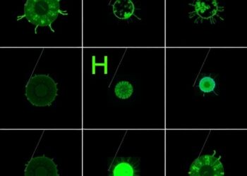 Super-Resolution Photoacoustic Microscopy Enables Label-Free Cell Tracking