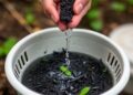 Transforming Herbal Waste into Advanced Biochar for High-Performance Water Purification
