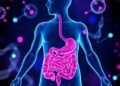 Unraveling the Chemical Conversations: How Gut Microbes Communicate with the Entire Body via Metabolites