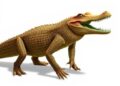 “Unusual Ancient Crocodile Ancestor Walked on Four Legs in Youth Before Shifting to Two”