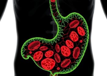 Wnt Signaling Fuels Stomach Cancer Progression by Remodeling the Tumor Microenvironment